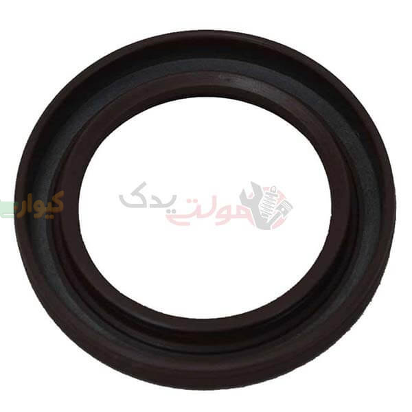 480-1011020.jpg کاسه نمد جلوی میل لنگ و میل سوپاپ vvt( کاسه نمد اویل پمپ) 315 – X33 – X22 – تیگو 5 - Image 1