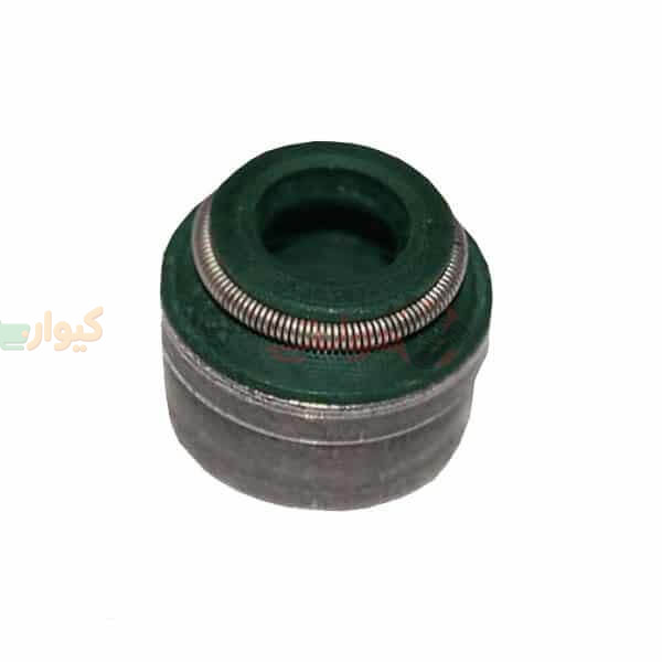 481H-1007020.jpg کاسه نمد گاید سوپاپ 315 – 530 – 550 – X33 – X22 – تیگو 5 – آریزو 5 - Image 1