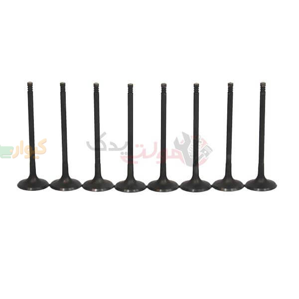 481h-1007011ca.jpg سوپاپ بنزین ام وی ام 530 و 550 و x33 و تیگو 5 - Image 1